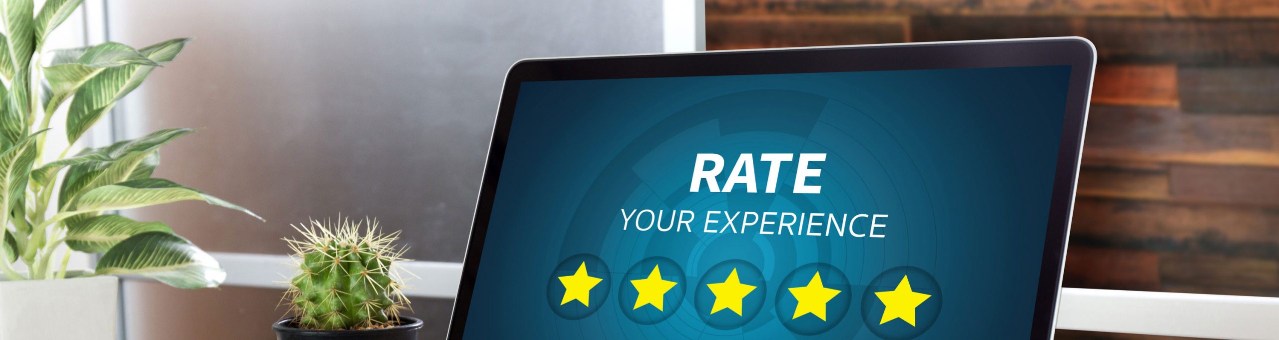 How do Reviews Directly Help to Improve Visitor Conversion