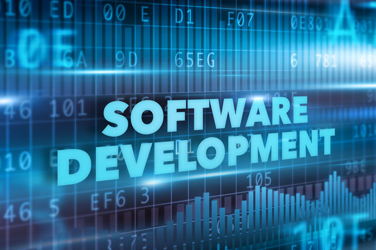 Healthcare Software Development