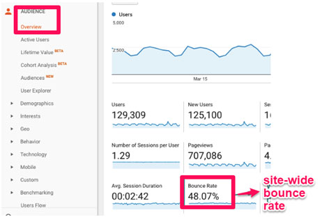 Dreaded High Bounce Rate 