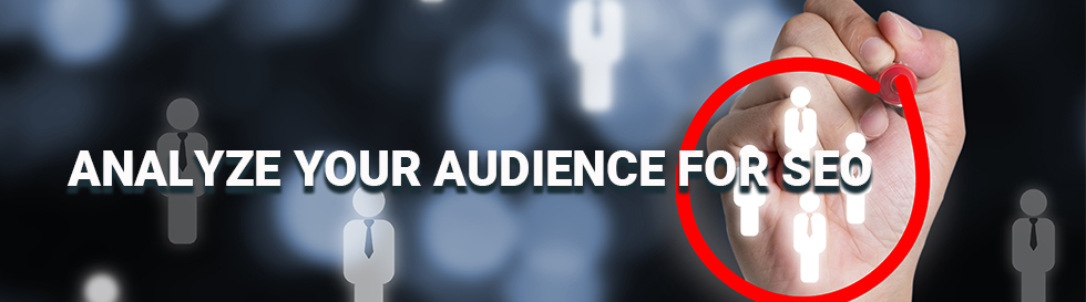 seo audience analysis