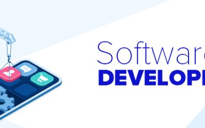 What Are the Pros and Cons of Software Development Outsourcing ?