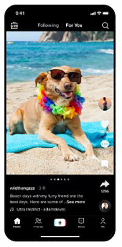 TikTok Photo Mode