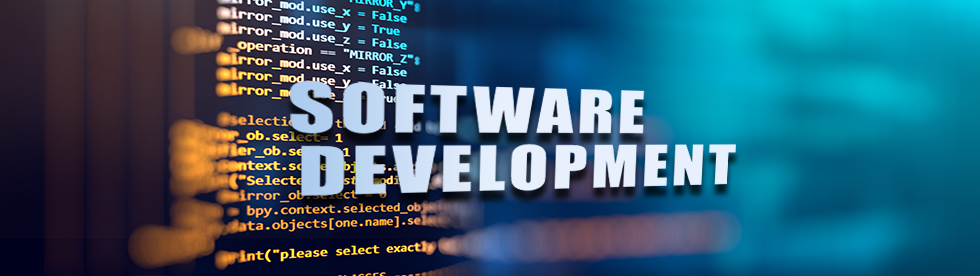 Software Development for Business Growth