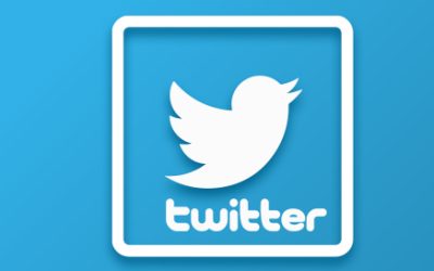 Twitter Bird Vanishes – Gets Rebranded as X
