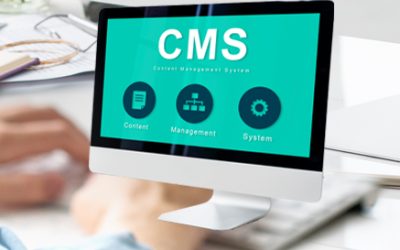 The Role of CMS in Web Design and Development