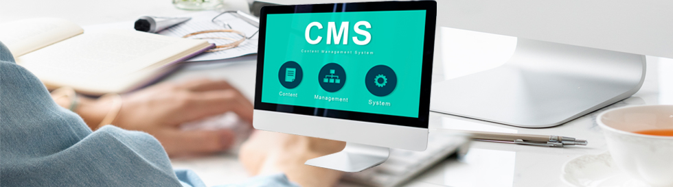 CMS in Web Design and Development